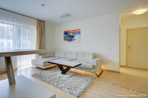 2 Kambarių Butas Kaune